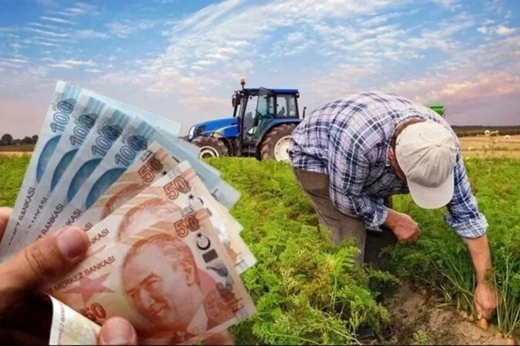 Çiftçilere 826 milyon TL'lik destek hesaplarda