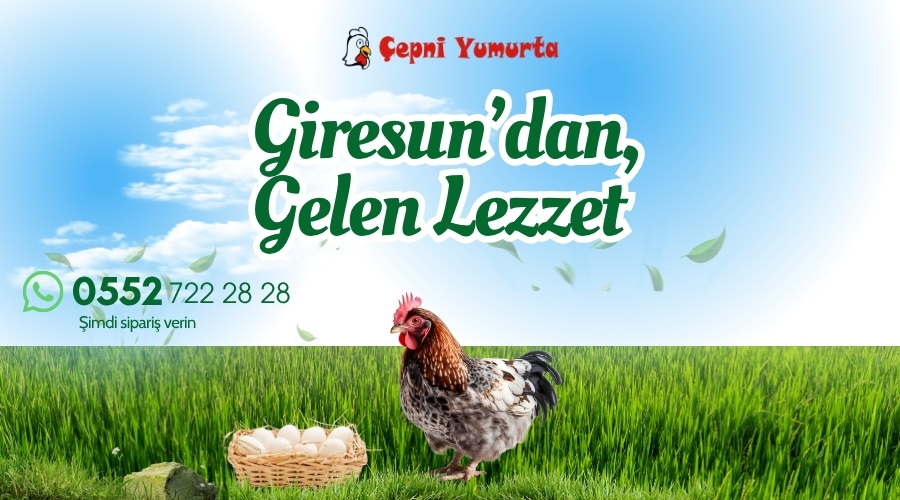 Giresun’un Doğal ve Organik Lezzeti Çepni Yumurta